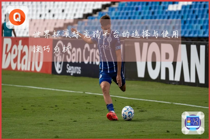 世界杯滚球竞猜平台的选择与使用技巧分析