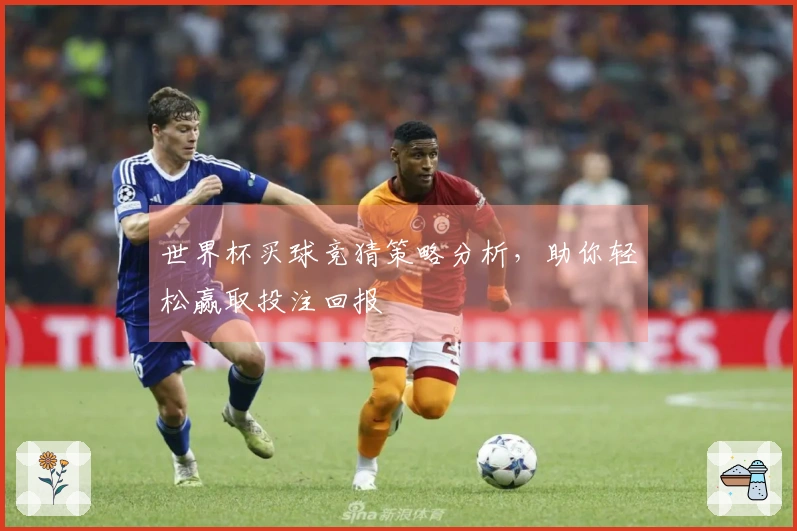 世界杯买球竞猜策略分析，助你轻松赢取投注回报