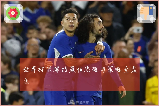 世界杯买球的最佳思路与策略全盘点