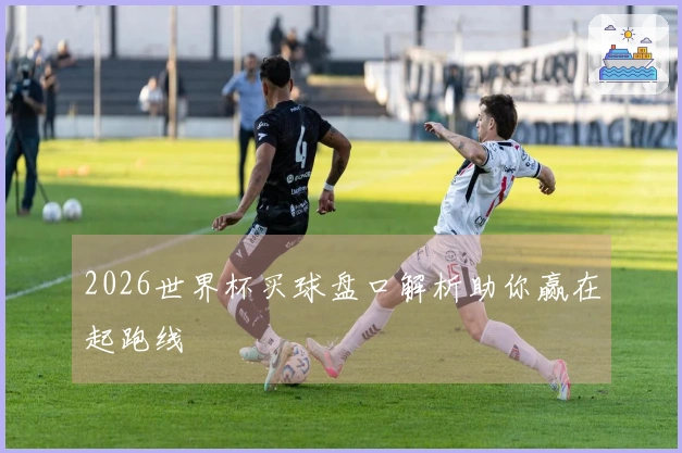 2026世界杯买球盘口解析助你赢在起跑线