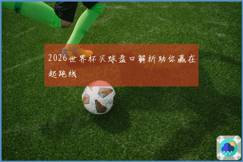 2026世界杯买球盘口解析助你赢在起跑线