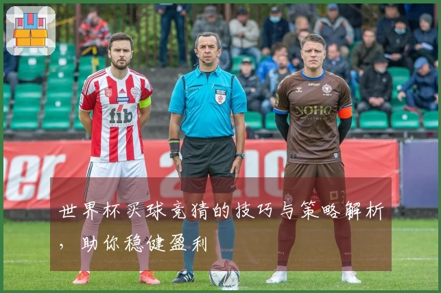 世界杯买球竞猜的技巧与策略解析，助你稳健盈利