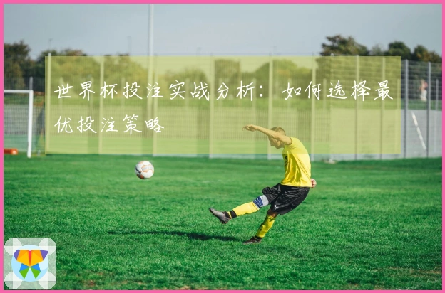 世界杯投注实战分析：如何选择最优投注策略