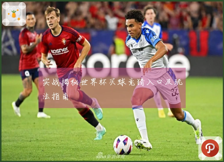 实战揭秘世界杯买球竞猜入口及玩法指南