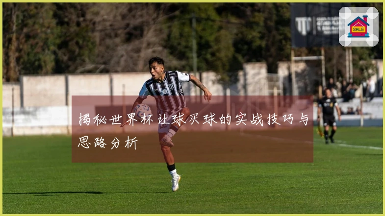 揭秘世界杯让球买球的实战技巧与思路分析