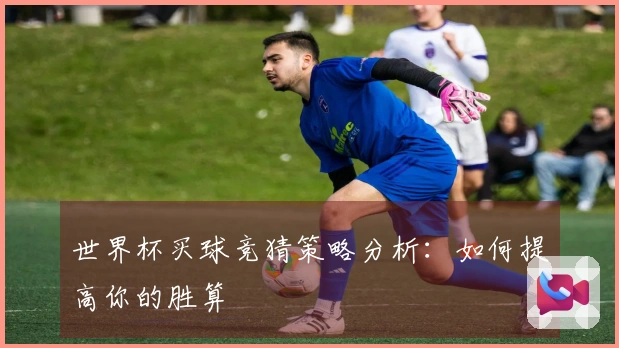 世界杯买球竞猜策略分析：如何提高你的胜算