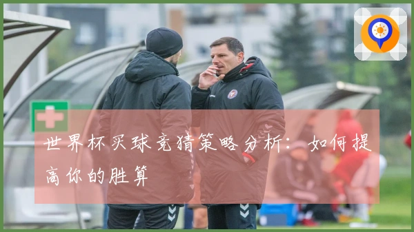世界杯买球竞猜策略分析：如何提高你的胜算