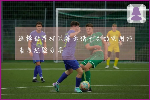 选择世界杯买球竞猜平台的实用指南与经验分享