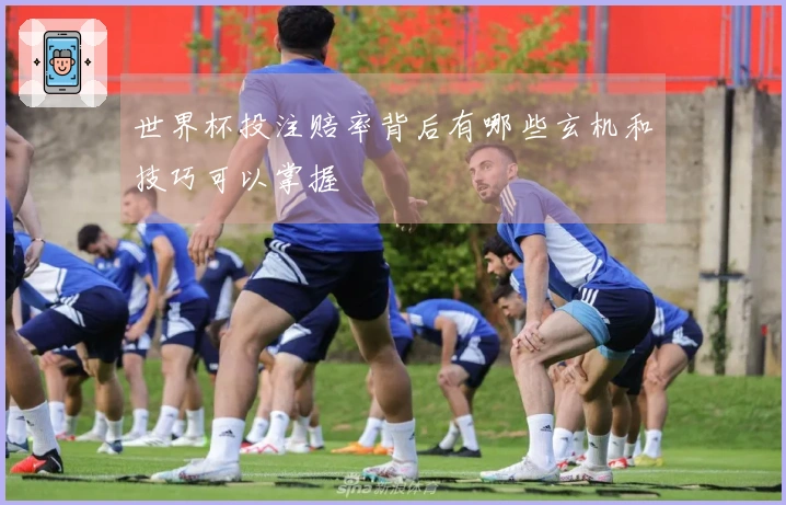 世界杯投注赔率背后有哪些玄机和技巧可以掌握