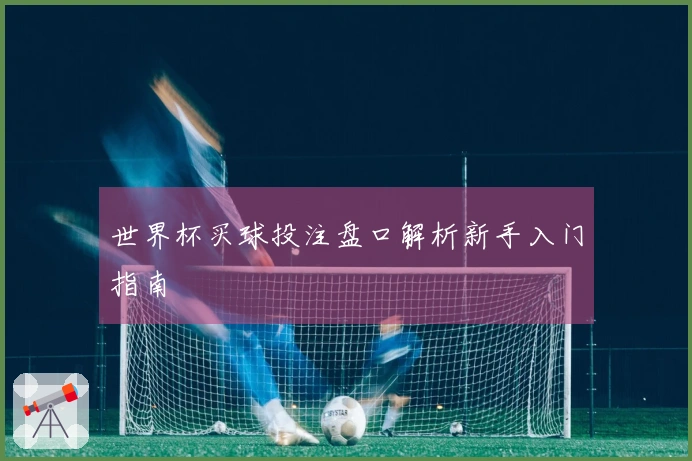 世界杯买球投注盘口解析新手入门指南