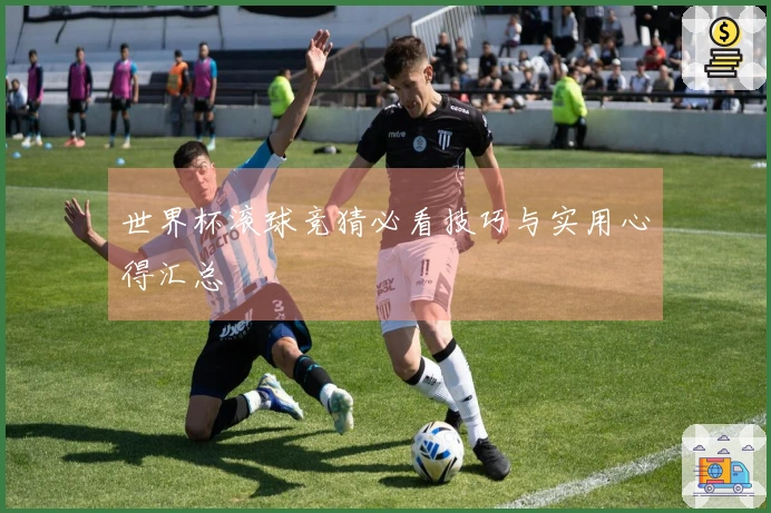 世界杯滚球竞猜必看技巧与实用心得汇总