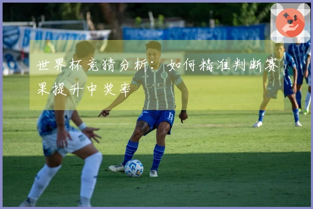世界杯竞猜分析：如何精准判断赛果提升中奖率