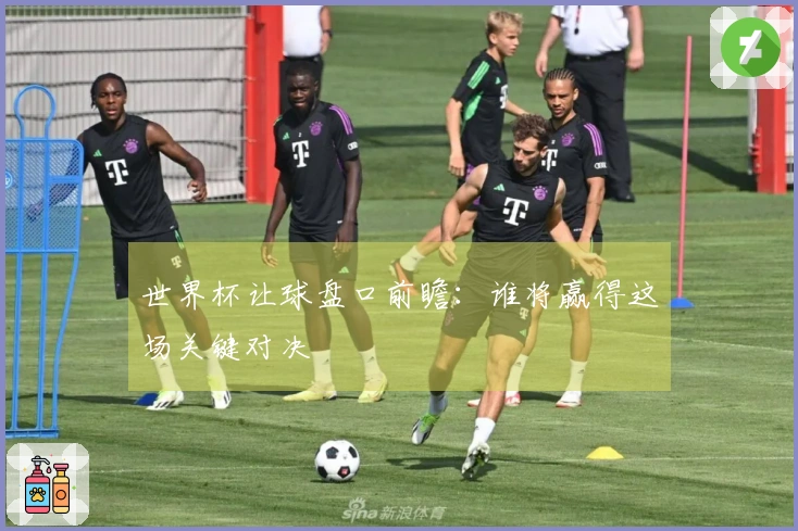 世界杯让球盘口前瞻：谁将赢得这场关键对决